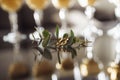 Golden wedding rings on a glass table with eucalyptus. champagne glasses on the background. selective focus Royalty Free Stock Photo