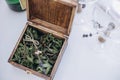 Golden wedding rings lie on the ropes in a wooden box with a mirror, which stands on the grass. Royalty Free Stock Photo