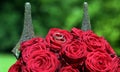 Golden wedding rings on red roses in front of the lancets Royalty Free Stock Photo