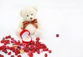 Golden wedding rings and red box at toy bears paws against dried flower background Royalty Free Stock Photo