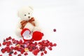 Golden wedding rings and red box at toy bears paws against dried flower background Royalty Free Stock Photo