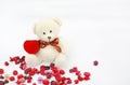 Golden wedding rings and red box at toy bears paws against dried flower background Royalty Free Stock Photo