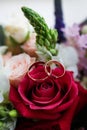 Wedding rings on a rose flower in a bouquet Royalty Free Stock Photo