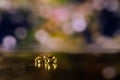 Golden wedding rings on sparkle bokeh background. Royalty Free Stock Photo
