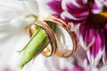 Golden wedding rings on the spring white and purple flowers Royalty Free Stock Photo