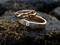 Golden Wedding Rings Symbolize Love