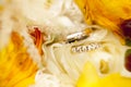 Golden wedding rings on wedding bouquet of yellow flowers Royalty Free Stock Photo