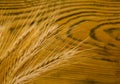 Golden wheat ears Royalty Free Stock Photo