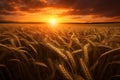 Golden wheat ears growing in agricultural field at sunset. Generative AI Royalty Free Stock Photo