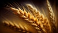 Golden wheat ears growing up in a farm field. Isolated young textured wheat. Blurred background. Generative AI