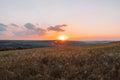 Golden wheat field on the background of hot summer sun and blue sky with clouds. Beautiful summer landscape. Royalty Free Stock Photo