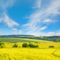 Golden wheat field and blue sky with clouds Royalty Free Stock Photo