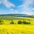 Golden wheat field and blue sky with clouds Royalty Free Stock Photo