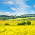 Golden wheat field and blue sky with clouds Royalty Free Stock Photo