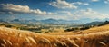 golden wheat field with blue sky and mountains in the background Royalty Free Stock Photo