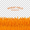 Golden wheat field on checkered background