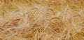 Golden wheat field. Ripened wheat. You can use the photo as a background. Royalty Free Stock Photo