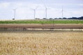 Golden wheat field in the countryside. Windmill farm in the background. Rural scene in Spain, 2019 Royalty Free Stock Photo