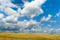 A golden wheat field and fluffy white clouds on a blue sky on a sunny summer day. Tourist places for family holidays. summer Royalty Free Stock Photo