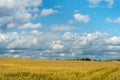 A golden wheat field and fluffy white clouds on a blue sky on a sunny summer day. Tourist places for family holidays. summer Royalty Free Stock Photo