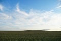 A golden wheat field and fluffy white clouds on a blue sky on a sunny summer day. Tourist places for family holidays. summer Royalty Free Stock Photo