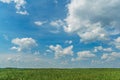 A golden wheat field and fluffy white clouds on a blue sky on a sunny summer day. Tourist places for family holidays. summer Royalty Free Stock Photo