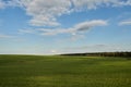 A golden wheat field and fluffy white clouds on a blue sky on a sunny summer day. Tourist places for family holidays. summer Royalty Free Stock Photo