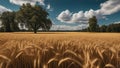 golden wheat field a golden wheat field with green grass and trees under a blue sky with clouds field, Royalty Free Stock Photo