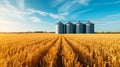 Golden Wheat Field with Grain Silos at Sunset. Generative ai