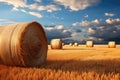 Golden wheat field with hay bales under a sunset sky Royalty Free Stock Photo