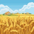 Golden wheat field ripe harvest, rural houses distance under blue sky. Countryside landscape Royalty Free Stock Photo