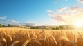 Golden Wheat Field At Sunset: A Stunning 3d Render Of Italian Landscapes
