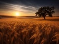 Golden Wheat Field Under a Blue Sky