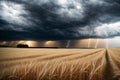 A golden wheat field under a stormy sky