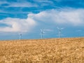 Golden Wheat field with wind turbines against blue sky Royalty Free Stock Photo