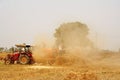 Golden wheat Harvest and chaff seperation India