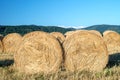 Golden wheat. Harvesting bales of straw in the field. Photo for calendar. Dried hay on rolls in the field. Straw in straw stubble Royalty Free Stock Photo