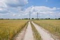 Golden Wheat panorama at sunset, countryside. Beautiful nature sunset landscape. combine harvesting. Happy farm girl. happy girl Royalty Free Stock Photo