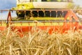 Golden wheat rye close-up in the background is big harvester Royalty Free Stock Photo