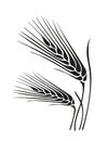 Golden wheat spike stylized illustration