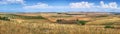 Golden wheatfields and a barren farmland landscape in southern Italy