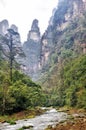 Golden Whip Stream Trail in the cloud at Zhangjiajie Natural Forest Park, Hunan,China