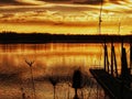 Golden whisps of clouds over the deep reddish gold river Royalty Free Stock Photo