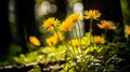 Golden wildflowers basking in dappled sunlight in a serene forest setting