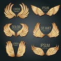 Golden wing logo vector set. Angels and bird elite gold labels for corporate identity design Royalty Free Stock Photo