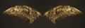 Golden wings Royalty Free Stock Photo
