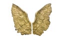 Golden wings Royalty Free Stock Photo