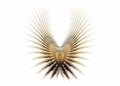 Golden wings Royalty Free Stock Photo