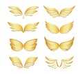 Golden wings Royalty Free Stock Photo