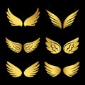 Golden wings vector collection. Angels wings isolated on black background Royalty Free Stock Photo
